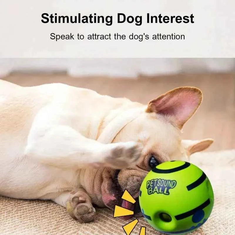 Chew Resistence Ball for Dogs