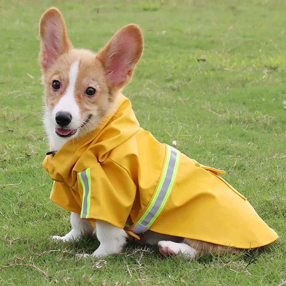 Corgi Cloak Style Dog Raincoat