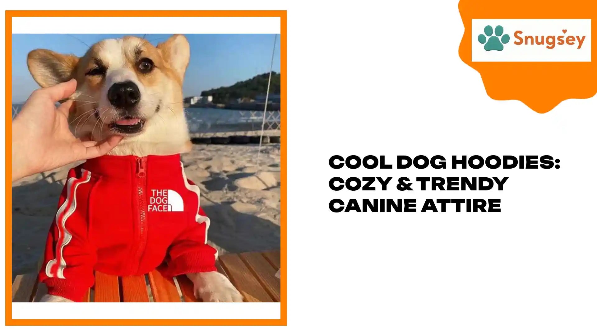 Cool Dog Hoodies: Cozy & Trendy Canine Attire by@Outfy