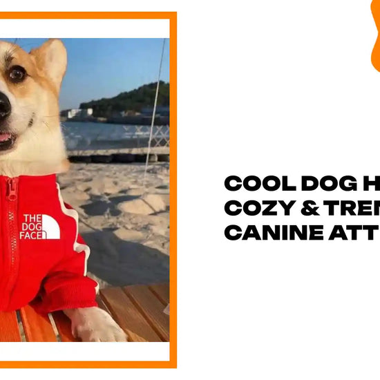 Cool Dog Hoodies: Cozy &amp; Trendy Canine Attire by@Outfy