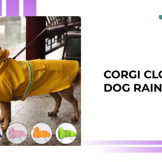 Corgi Cloak Style Dog Raincoat by@Outfy